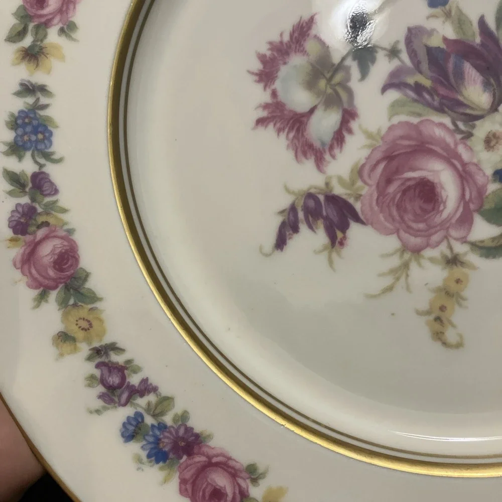 Castleton China Manor Gold Trim Dinner Plate 9